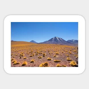 Atacama Desert Sticker